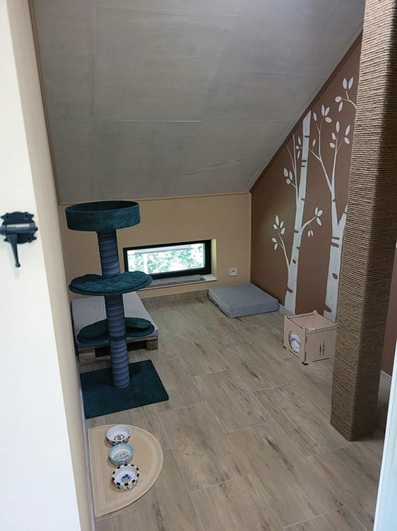 Drapak Chmurka zdjęcie od klienta