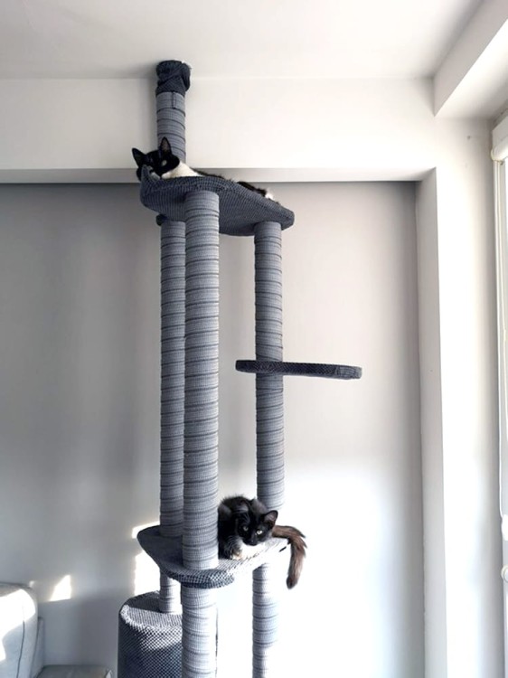 Drapak Sufitowy nr 1 220-250 cm
