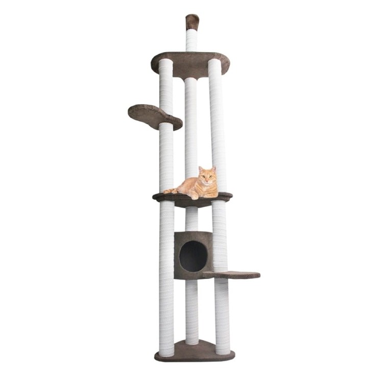Drapak Sufitowy nr 1 220-250 cm